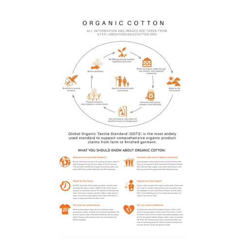 eco food wrap > beeswax wrap > GOTS organic cotton > Comfily Living > Hong Kong